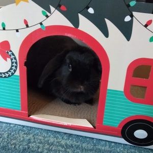 Meet your Posher, Stacey